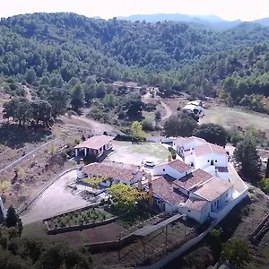 https://la-rejertilla.es-andalucia.com